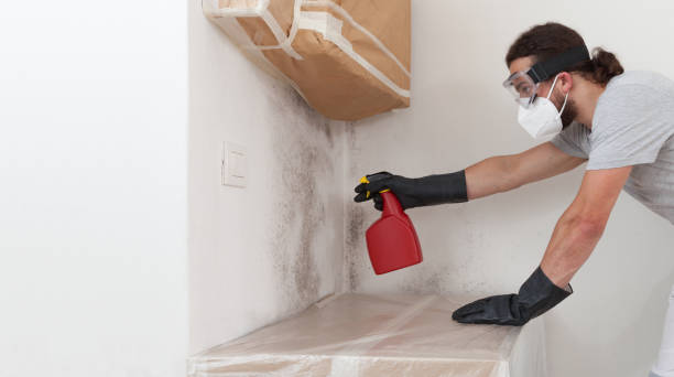 Professional Attic Mold Removal technician working in Brunswick, NC
