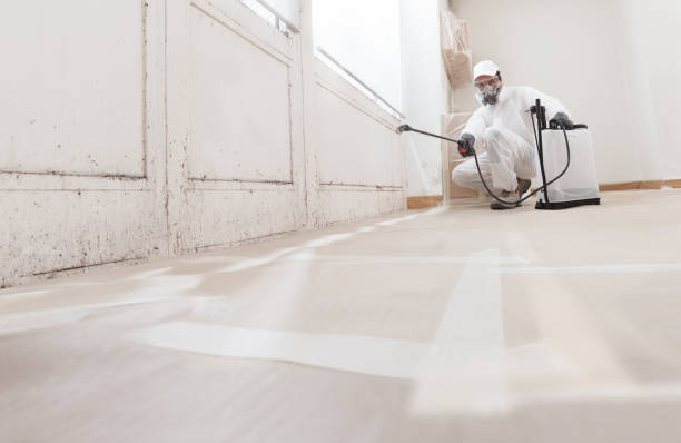 24/7 Emergency Attic Mold Removal experts in Brunswick, NC